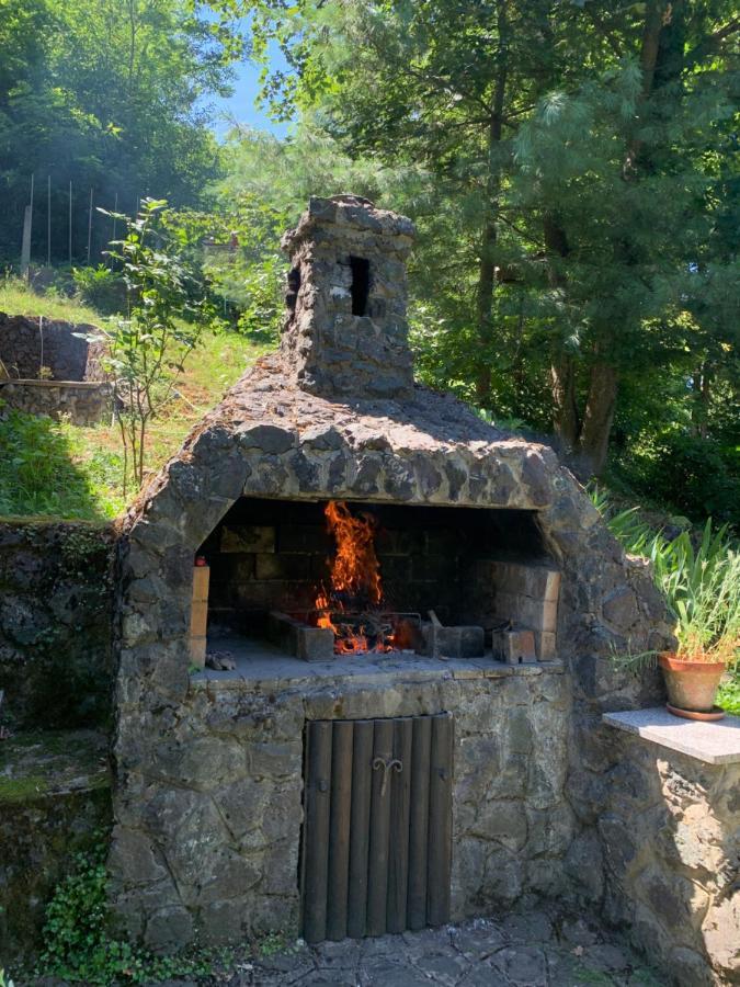 Holiday Home Dragonfly River House On Korana Near Plitvice And Mreznica Barilovic Εξωτερικό φωτογραφία